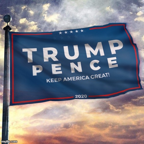 When u propose flags [v rare pro-Trump content] | image tagged in trump pence 2020 flag | made w/ Imgflip meme maker