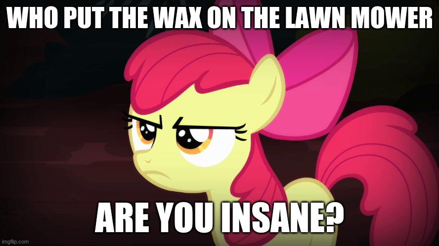 I don't even know what I'm saying | WHO PUT THE WAX ON THE LAWN MOWER; ARE YOU INSANE? | image tagged in angry applebloom,memes,random,wax,lawn mower,insane | made w/ Imgflip meme maker