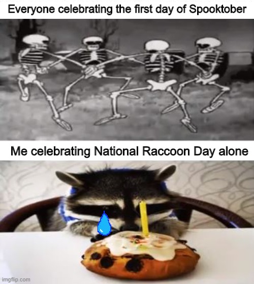 Happy RACCOON Day! | Everyone celebrating the first day of Spooktober; Me celebrating National Raccoon Day alone | image tagged in memes,spooktober,raccoon | made w/ Imgflip meme maker