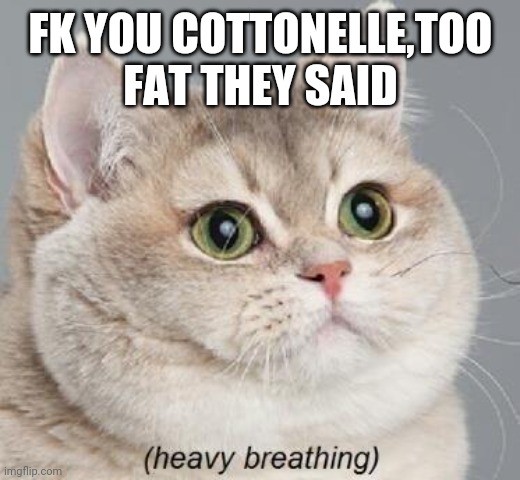 Heavy Breathing Cat Meme | FK YOU COTTONELLE,TOO FAT THEY SAID | image tagged in memes,heavy breathing cat | made w/ Imgflip meme maker