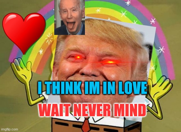 love birds | I THINK IM IN LOVE; WAIT NEVER MIND | image tagged in joe biden | made w/ Imgflip meme maker