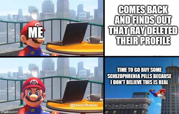 Mario jumps off of a building | COMES BACK AND FINDS OUT THAT RAY DELETED THEIR PROFILE; ME; TIME TO GO BUY SOME SCHIZOPHRENIA PILLS BECAUSE I DON'T BELIEVE THIS IS REAL | image tagged in mario jumps off of a building | made w/ Imgflip meme maker