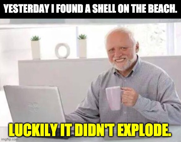 Harold | YESTERDAY I FOUND A SHELL ON THE BEACH. LUCKILY IT DIDN'T EXPLODE. | image tagged in harold | made w/ Imgflip meme maker