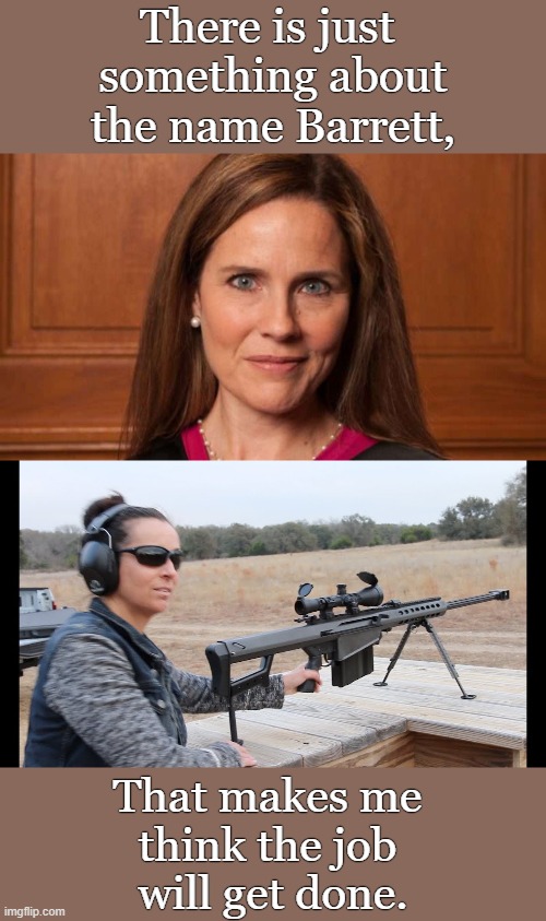 Amy Coney Barrett | There is just 
something about
the name Barrett, That makes me 
think the job 
will get done. | image tagged in barrett | made w/ Imgflip meme maker
