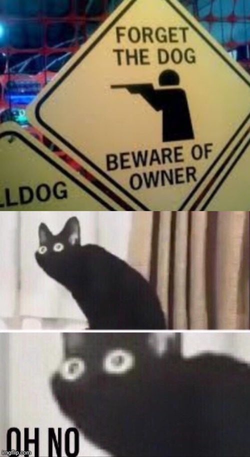 . | image tagged in oh no cat | made w/ Imgflip meme maker