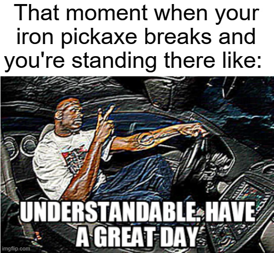 UNDERSTANDABLE, HAVE A GREAT DAY | That moment when your iron pickaxe breaks and you're standing there like: | image tagged in understandable have a great day | made w/ Imgflip meme maker