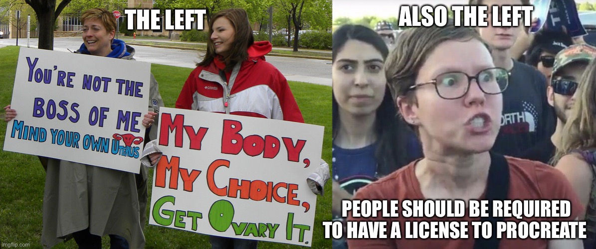 ALSO THE LEFT; THE LEFT; PEOPLE SHOULD BE REQUIRED
 TO HAVE A LICENSE TO PROCREATE | image tagged in triggered feminist | made w/ Imgflip meme maker