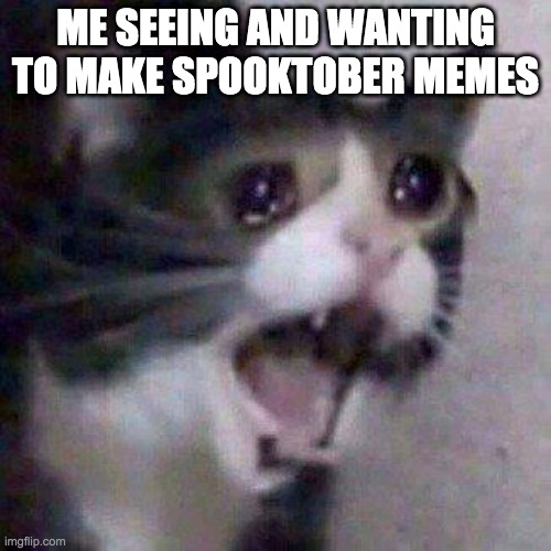 Cat Screaming | ME SEEING AND WANTING TO MAKE SPOOKTOBER MEMES | image tagged in cat screaming | made w/ Imgflip meme maker