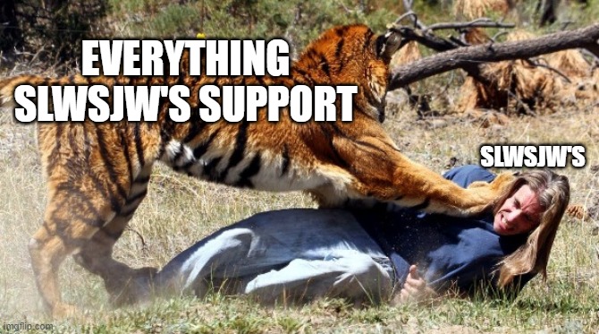 EVERYTHING SLWSJW'S SUPPORT SLWSJW'S | made w/ Imgflip meme maker