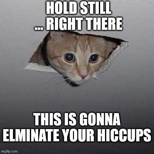Ceiling Cat Meme | HOLD STILL ... RIGHT THERE; THIS IS GONNA ELMINATE YOUR HICCUPS | image tagged in memes,ceiling cat | made w/ Imgflip meme maker