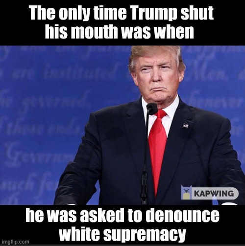 Cat got your tongue? Curious. | image tagged in white supremacy,white supremacists,trump,repost,presidential debate,trump is an asshole | made w/ Imgflip meme maker