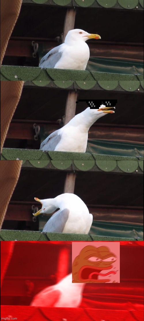 Reeeeeee | image tagged in memes,inhaling seagull | made w/ Imgflip meme maker