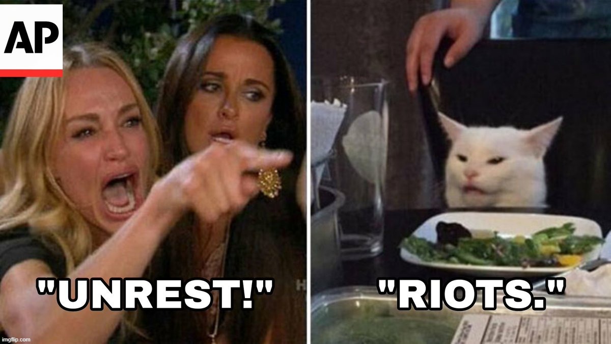 Radical Left vs Reality | image tagged in politics,woman yelling at cat | made w/ Imgflip meme maker