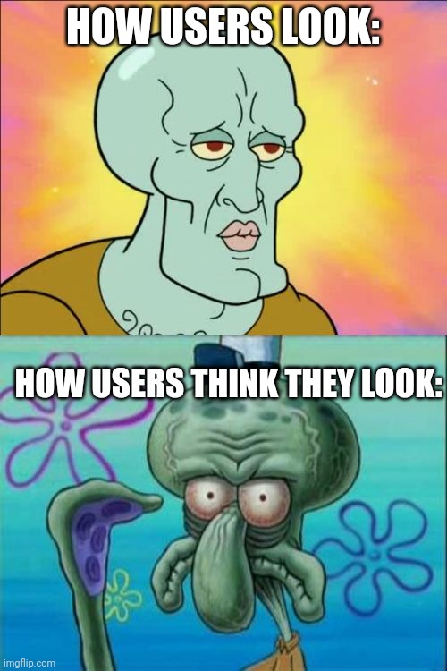 Squidward | HOW USERS LOOK:; HOW USERS THINK THEY LOOK: | image tagged in memes,squidward | made w/ Imgflip meme maker