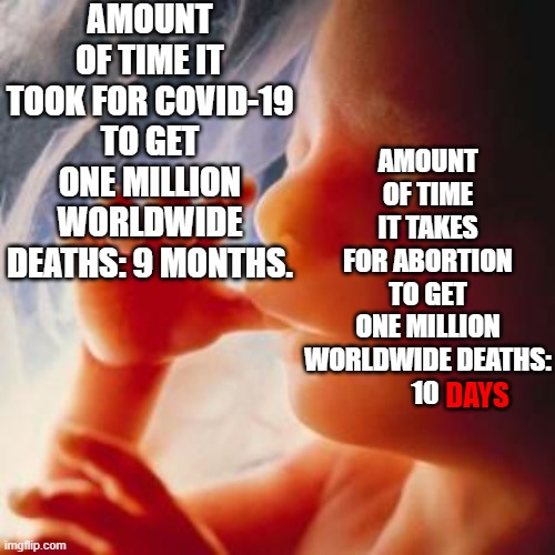 74 Murders Every Minute | AMOUNT OF TIME IT TOOK FOR COVID-19 TO GET ONE MILLION WORLDWIDE DEATHS: 9 MONTHS. AMOUNT OF TIME IT TAKES FOR ABORTION TO GET ONE MILLION WORLDWIDE DEATHS:
10; DAYS | image tagged in fetus,covid-19,abortion,abortion is murder,slaughterhouse | made w/ Imgflip meme maker