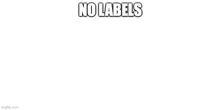 No Labels | NO LABELS | image tagged in no labels | made w/ Imgflip meme maker