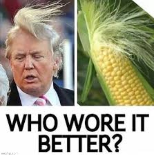 When you spend $70000 on hair | image tagged in corn,trump | made w/ Imgflip meme maker