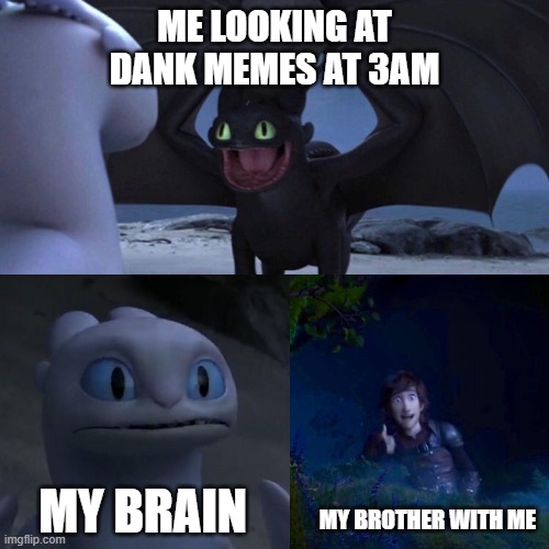 me at 3am | ME LOOKING AT DANK MEMES AT 3AM; MY BROTHER WITH ME; MY BRAIN | image tagged in night fury | made w/ Imgflip meme maker