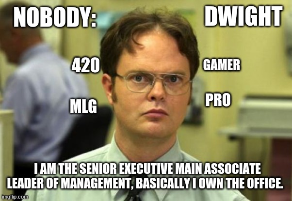 Dwight is gamer pro MLG status confirmed | DWIGHT; NOBODY:; GAMER; 420; PRO; MLG; I AM THE SENIOR EXECUTIVE MAIN ASSOCIATE LEADER OF MANAGEMENT, BASICALLY I OWN THE OFFICE. | image tagged in theoffice,dwight schrute,funny memes,repost | made w/ Imgflip meme maker