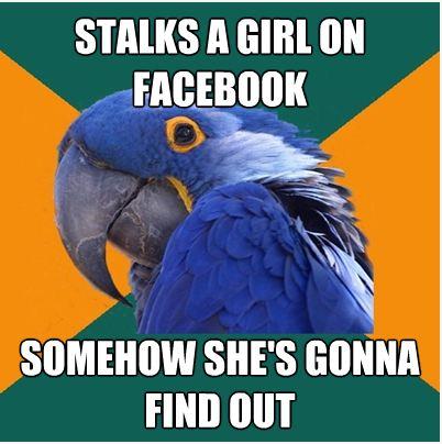 Paranoid Parrot Meme | image tagged in memes,paranoid parrot