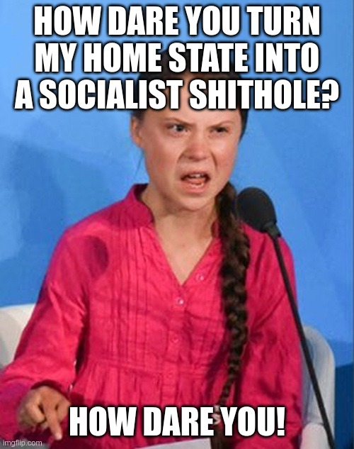 Newsom sucks, says Greta | HOW DARE YOU TURN MY HOME STATE INTO A SOCIALIST SHITHOLE? HOW DARE YOU! | image tagged in greta thunberg how dare you | made w/ Imgflip meme maker