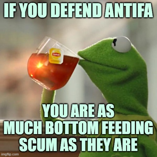 But That's None Of My Business Meme | IF YOU DEFEND ANTIFA YOU ARE AS MUCH BOTTOM FEEDING SCUM AS THEY ARE | image tagged in memes,but that's none of my business,kermit the frog | made w/ Imgflip meme maker