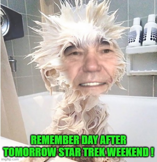 my face on a wet puppie | REMEMBER DAY AFTER TOMORROW STAR TREK WEEKEND ! | image tagged in kewlew,star trek weekend | made w/ Imgflip meme maker