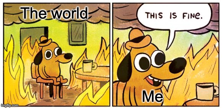 This Is Fine Meme | The world; Me | image tagged in memes,this is fine | made w/ Imgflip meme maker