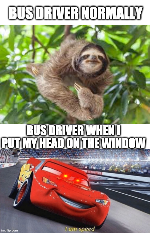 zoom | BUS DRIVER NORMALLY; BUS DRIVER WHEN I PUT MY HEAD ON THE WINDOW | image tagged in lightning mcqueen | made w/ Imgflip meme maker