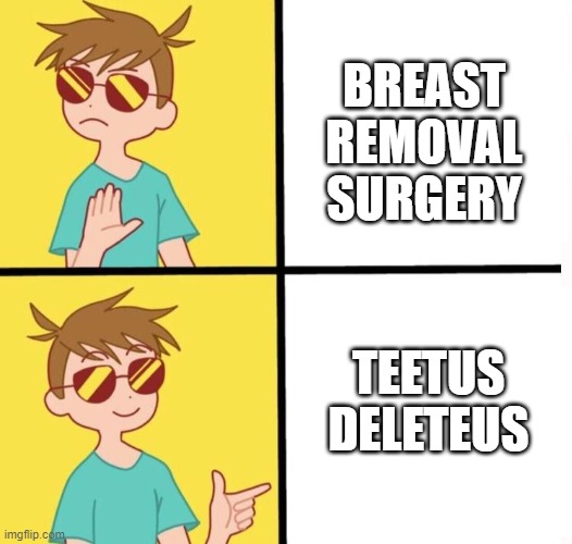 Ftm trans meme yes/no | BREAST
REMOVAL
SURGERY; TEETUS
DELETEUS | image tagged in ftm trans meme yes/no | made w/ Imgflip meme maker