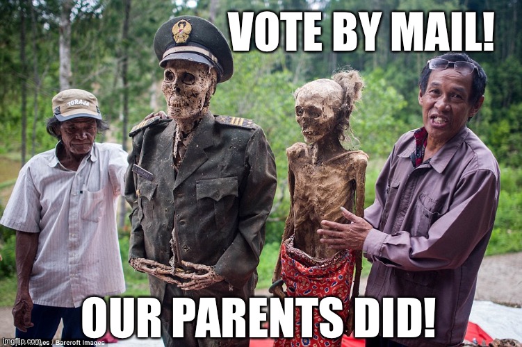 Vote by mail... | VOTE BY MAIL! OUR PARENTS DID! | image tagged in vote by mail,Conservative | made w/ Imgflip meme maker