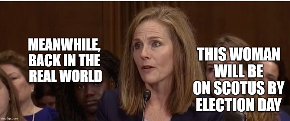 Amy Coney Barrett | MEANWHILE, 
BACK IN THE 
REAL WORLD THIS WOMAN WILL BE ON SCOTUS BY ELECTION DAY | image tagged in amy coney barrett | made w/ Imgflip meme maker