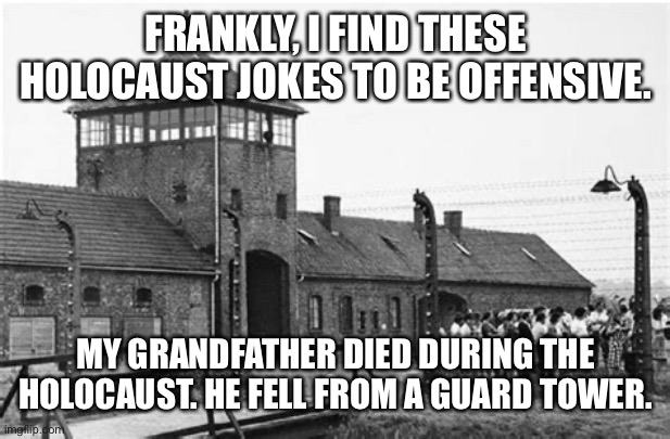 FRANKLY, I FIND THESE HOLOCAUST JOKES TO BE OFFENSIVE. MY GRANDFATHER DIED DURING THE HOLOCAUST. HE FELL FROM A GUARD TOWER. | image tagged in holocaust memes | made w/ Imgflip meme maker