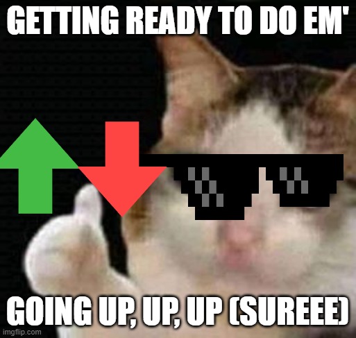 GETTING READY TO DO EM' GOING UP, UP, UP (SUREEE) | image tagged in sad thumbs up cat | made w/ Imgflip meme maker