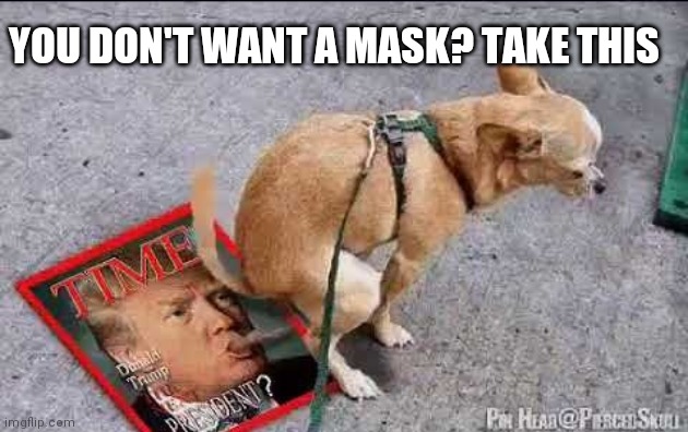 Trump no mask | YOU DON'T WANT A MASK? TAKE THIS | image tagged in face mask,donald trump,masks,wear a mask,funny memes | made w/ Imgflip meme maker