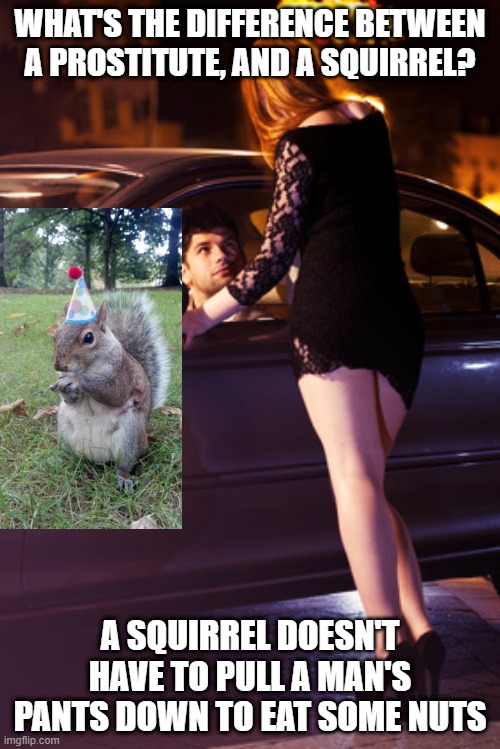 Ease of Access | WHAT'S THE DIFFERENCE BETWEEN A PROSTITUTE, AND A SQUIRREL? A SQUIRREL DOESN'T HAVE TO PULL A MAN'S PANTS DOWN TO EAT SOME NUTS | image tagged in prostitute | made w/ Imgflip meme maker