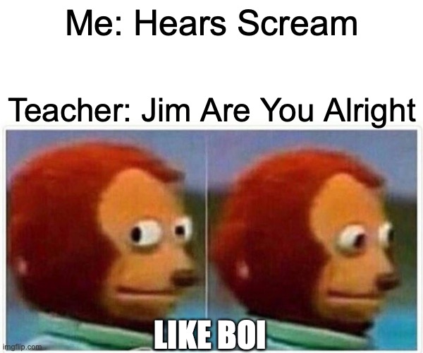 Class Time | Me: Hears Scream; Teacher: Jim Are You Alright; LIKE BOI | image tagged in memes,monkey puppet | made w/ Imgflip meme maker