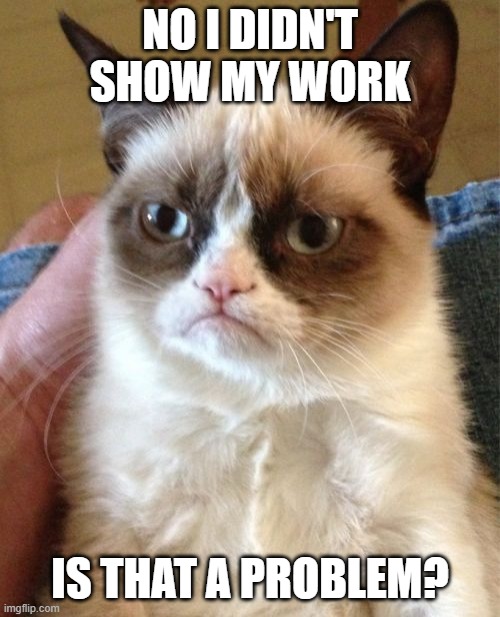 I like doing the work in my BIG BRAIN | NO I DIDN'T SHOW MY WORK; IS THAT A PROBLEM? | image tagged in memes,grumpy cat,big brain time,show your work,school,math | made w/ Imgflip meme maker