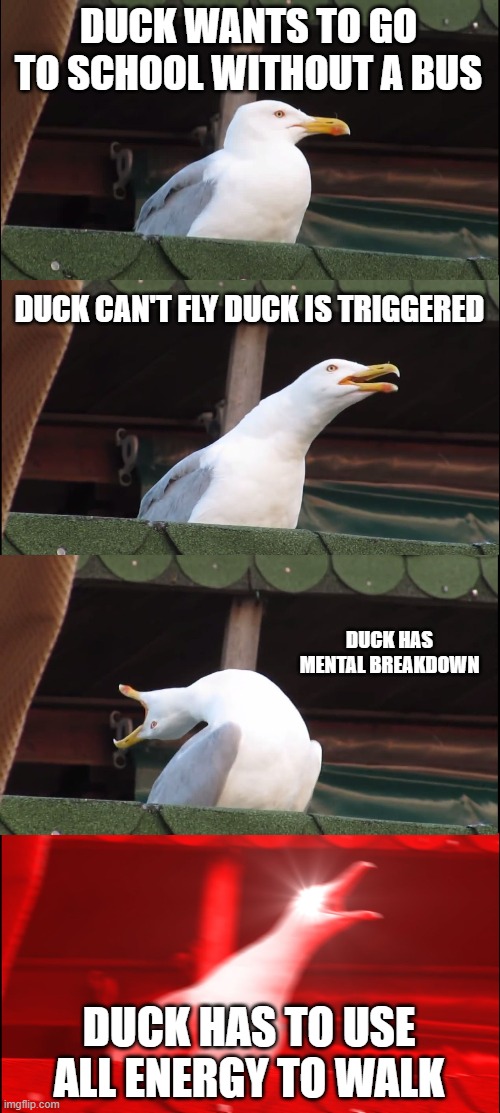 Inhaling Seagull Meme | DUCK WANTS TO GO TO SCHOOL WITHOUT A BUS; DUCK CAN'T FLY DUCK IS TRIGGERED; DUCK HAS MENTAL BREAKDOWN; DUCK HAS TO USE ALL ENERGY TO WALK | image tagged in memes,inhaling seagull | made w/ Imgflip meme maker