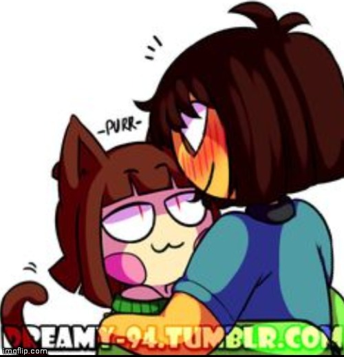 Cat chara | image tagged in frisk | made w/ Imgflip meme maker