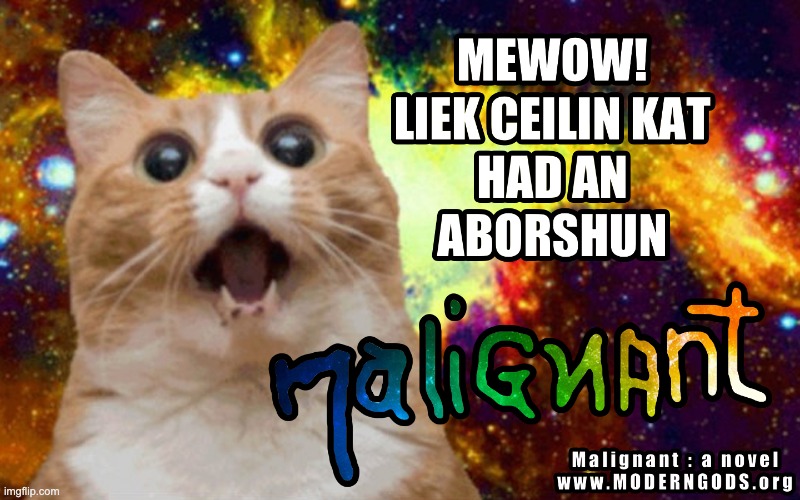 Ceiling Cat - Malignant | image tagged in ceiling cat,lolcat,abortion,rainbow,meow | made w/ Imgflip meme maker