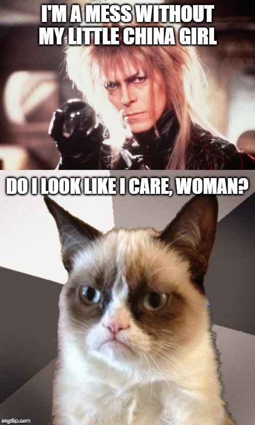 I'M A MESS WITHOUT MY LITTLE CHINA GIRL; DO I LOOK LIKE I CARE, WOMAN? | image tagged in labrynth david bowie,musically malicious grumpy cat,memes,bowie,cats,grumpy cat | made w/ Imgflip meme maker