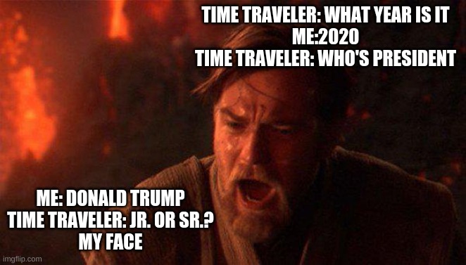 obi one | TIME TRAVELER: WHAT YEAR IS IT
ME:2020
TIME TRAVELER: WHO'S PRESIDENT; ME: DONALD TRUMP
TIME TRAVELER: JR. OR SR.?
MY FACE | image tagged in obi one | made w/ Imgflip meme maker