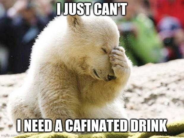 Sad Polar Bear | I JUST CAN'T; I NEED A CAFINATED DRINK | image tagged in sad polar bear | made w/ Imgflip meme maker