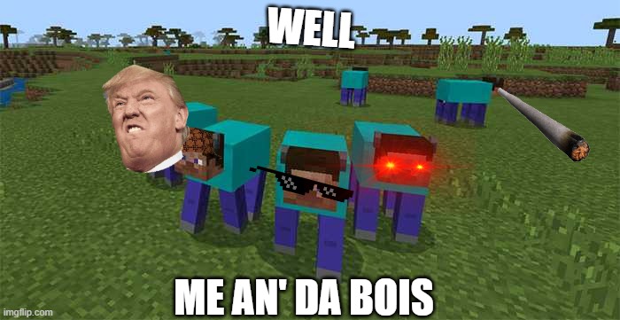 me and the boys | WELL; ME AN' DA BOIS | image tagged in me and the boys | made w/ Imgflip meme maker