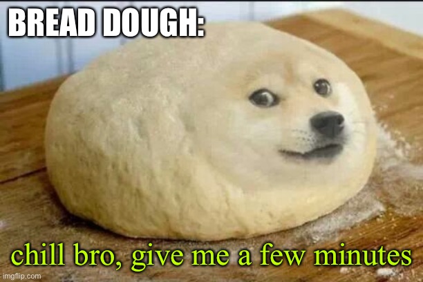 dough doge | BREAD DOUGH: chill bro, give me a few minutes | image tagged in dough doge | made w/ Imgflip meme maker