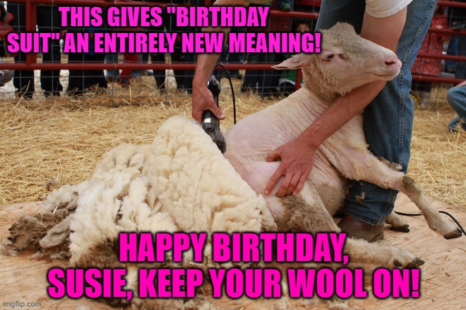 Sheep Shearing | THIS GIVES "BIRTHDAY SUIT" AN ENTIRELY NEW MEANING! HAPPY BIRTHDAY, SUSIE, KEEP YOUR WOOL ON! | image tagged in sheep shearing | made w/ Imgflip meme maker