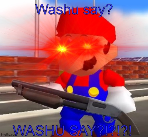 Washu say? WASHU SAY?!?!?! | made w/ Imgflip meme maker