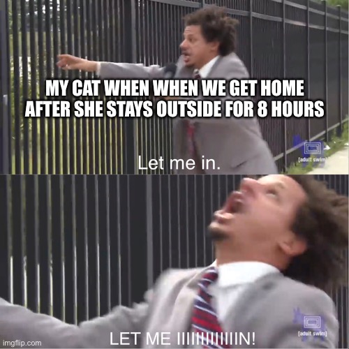 This do be true | MY CAT WHEN WHEN WE GET HOME AFTER SHE STAYS OUTSIDE FOR 8 HOURS | image tagged in let me in | made w/ Imgflip meme maker