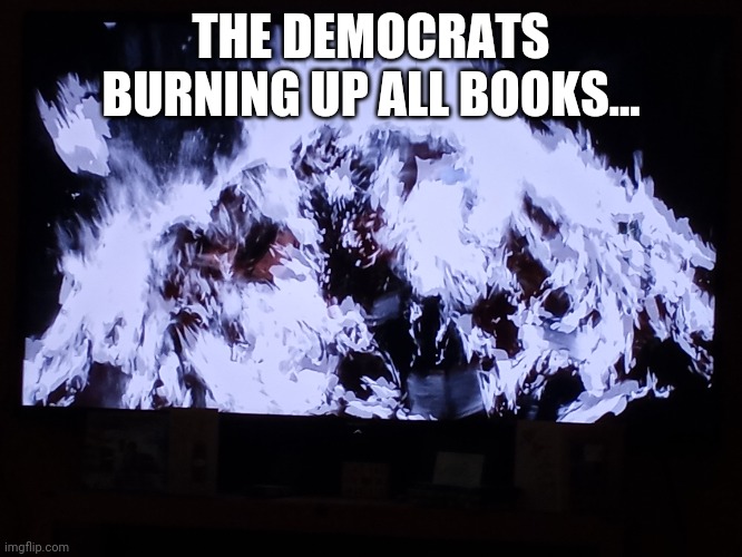 Democrats love to burn books | THE DEMOCRATS BURNING UP ALL BOOKS... | image tagged in adolf hitler,democrats,democrat party,books,covid-19,politicians | made w/ Imgflip meme maker
